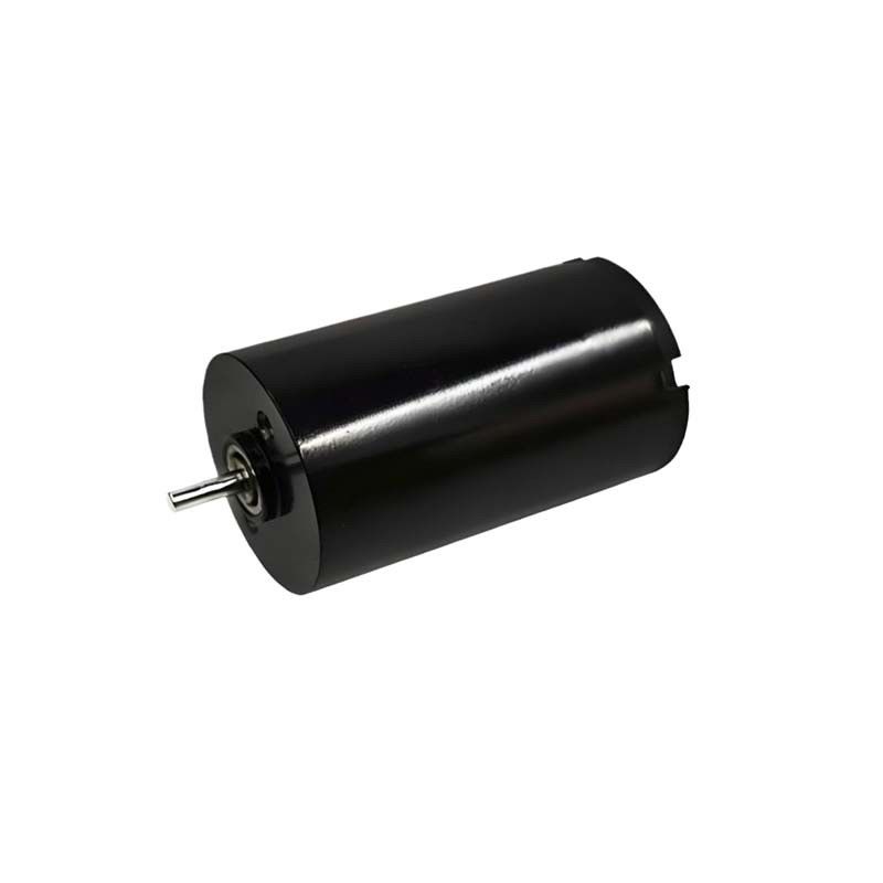 Motor de corriente continua cepillado de 16 mm 1.57 Watt 9980 rpm Motor de corriente continua cepillado eléctrico 24V personalizable