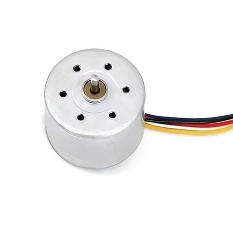 Motor eléctrico de corriente continua sin escobillas de 24 mm 12V 24V Motor BLDC con sensor personalizable para cortador de pelo Mini ventilador eléctrico