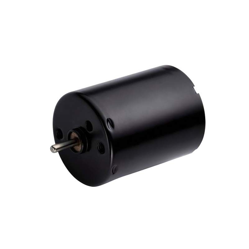 Motor eléctrico sin escobillas de 24 mm con conductor integrado 5.4W 12V 24V Capacidad de altas RPM